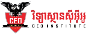 CEO Institute logo